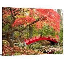 Beautiful Japanese Garden And Red