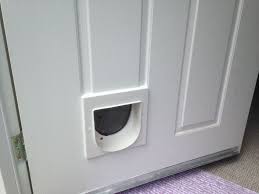 Cat Flap Handyfox