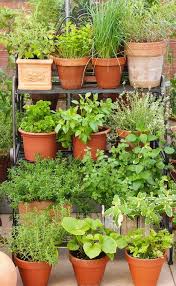 Herb Garden Pots