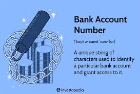 what is a bank account number