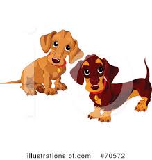 You may also like breed dachshund or miniature dachshund clipart! Wiener Dog Clipart 70572 Illustration By Pushkin
