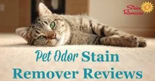 odoban odor eliminator reviews uses