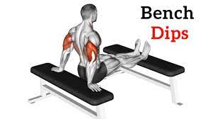 bench dips how to do muscle worked
