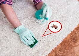 can carpet cleaning cause allergies