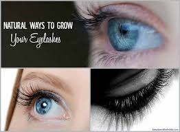 Who doesn't love long eyelashes? Natural Ways To Grow Your Eyelashes Beauty And The Foodie