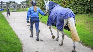 how to repair horse rugs save money