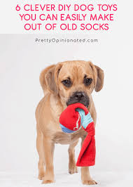 dog toys out of socks
