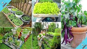 Easy Diy Container Vegetables Garden