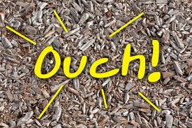 5 reasons why wood chips are not a good