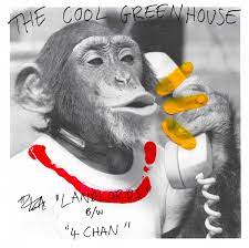 4Chan | The Cool Greenhouse | Drunken Sailor Records
