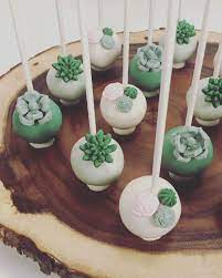 Succulent Cake Pops gambar png