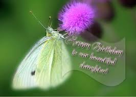 Maybe you would like to learn more about one of these? Happy Birthday To Our Beautiful Daughter Cabbage White Butterfly Greeting Card For Sale By Carol Senske