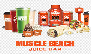 muscle beach juice bar hotel erwin