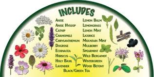 Herbal Tea Seeds Non Hybrid Open