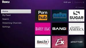 How to Find (and Add) Porn Channels to Your Roku - XBIZ.com