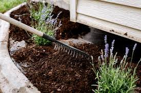 what is mulch and which mulch should