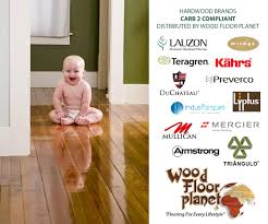 reasons for squeaky floors wood floor