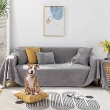 7 Best Couch Covers For Dog Hair 2024