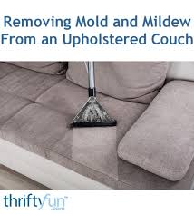 remove mold from fabric furniture