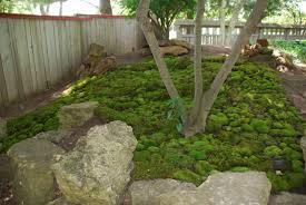 Create A Moss Garden Rameshwaram Marble