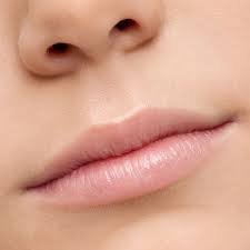 anatomy of the lips labello