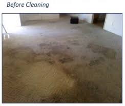 ecoclean carpet cleaning reviews