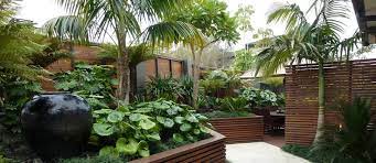 Residential Gardens Auckland Garden
