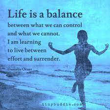  Life Is A Balance Balance Quotes Yoga Quotes Inspirational Quotes