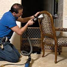 upholstery cleaning holland mi