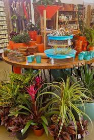 Great Planter And Plant Display At Dig