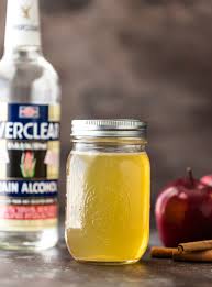 homemade apple vodka recipe the
