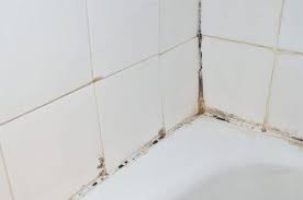 how to remove mold from shower caulking