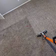 carpet cleaning near saraland al