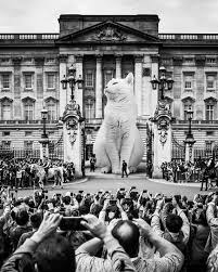 Buckingham Palace White Cat Print