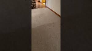 help needed by lake geneva carpet