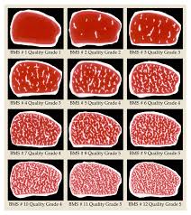 Kobe Beef Meat Quality Score And Marbling Score Board In