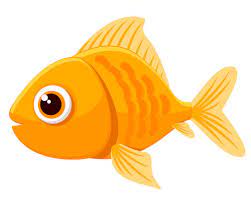 cartoon goldfish images browse 30 069