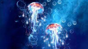 Jellyfish Wallpapers - Top Free ...