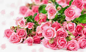 Terutama bunga banyak disukai oleh hal ini dikarenakan bentuknya yang indah, warnanya menarik dan mempunyai aroma yang wangi. 7 Bunga Cantik Dan Wangi Yang Bisa Menjadi Parfum Alami Tws Florist