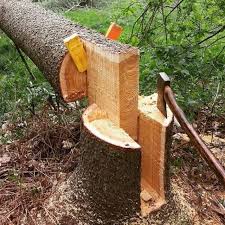 Impressive Tree Falling Skills