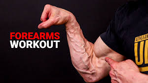 forearm workouts best exercises for