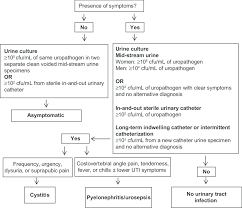 Flow Chart For The Diagnosis Of Urinary Tract Infection In