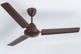 24v bldc ceiling fan warranty 2 year