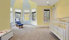 carpet cleaning carpet america