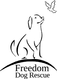 Places brunswick, maine community organizationcharity organization passion for pets rescue organization. Pets For Adoption At Freedom Dog Rescue In Casselman On Petfinder
