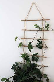 Diy Indoor Plant Trellis From Bamboo