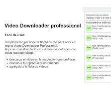 Video Downloader Professional Chrome extension