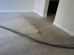 carpet cleaning high rise apartment in