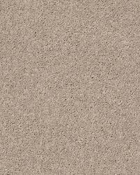 shaw full court bare mineral carpet