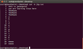 cat command in linux unix with exles